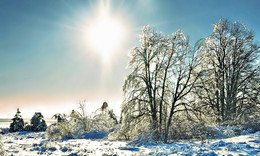 Unter der Sonne / ***