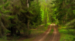 Mai ist der Wald / ***