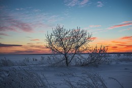 Sunrise. / ***