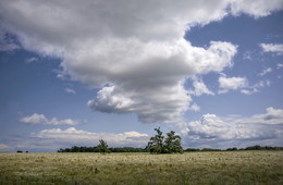 Dotyanutsya Himmel / ***