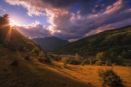 Summer Evening / ...