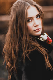  / ***