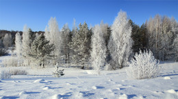 Frostig / ***