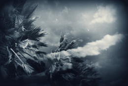 Unwetter / ***