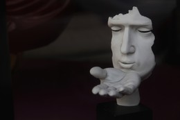  / ***