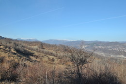  / Provita