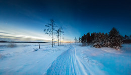 Winter Morgen / ***