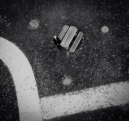  / Autumn
