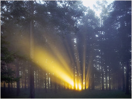 Morgenlicht / ***