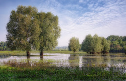 Hohe Wasser / ***