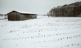 RAUSCHENBURG / Der Winter geht zu Ende. So schön kann er sein, hier an der RAUSCHENBURG in Olfen im Münsterland.