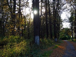Herbst Traurigkeit ... / ***