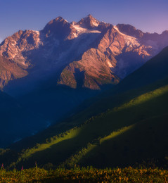 Morgenfrische / ...