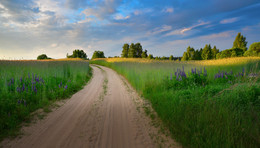 Auf dem Weg zur Sonne / ***