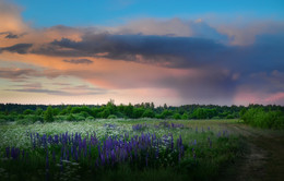 Summer Evening / ***