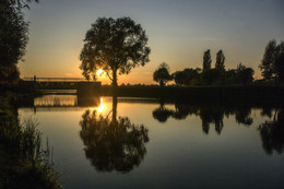 Spiegelung / ***