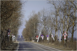 Der Weg zum Tempel. / ***