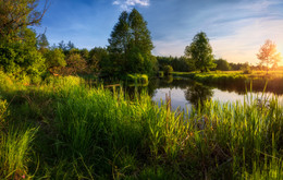 Sommer-Skizzen / ***