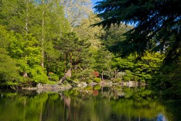Park / ***
