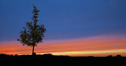 ABENDLICHT / Abendstimmung vor den Toren meiner Heimatstadt Olfen neben dem Naturbad, im Münsterland. Ich meine, solche Farben kann nur die Natur.