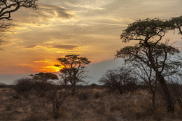 "African Sunset" / ***