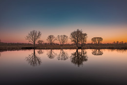 Spiegelung / ***