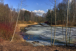 Frühling / ***