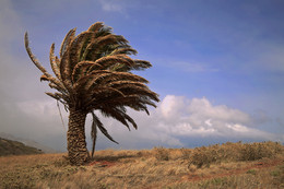 LA GOMERA / Unterwegs in der Bergwelt von LA GOMERA / Kanaren. Hier ist es immer sehr windig. Mir gefällt es. Das fotografieren mit Stativ ist natürlich nicht so einfach !!!!