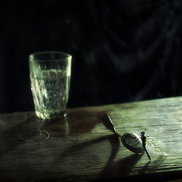 Dragonfly / ...