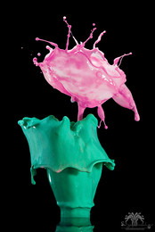 Rose / ***