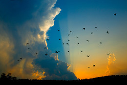 Summer Evening / ***