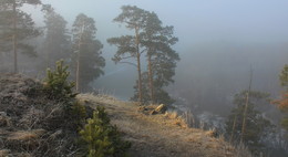 April Nebel / ***