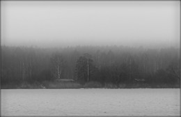 Nebliger Morgen / ***