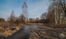 Ausgehende Winter / ***