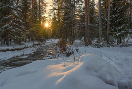 Sonnenuntergang im Wald / ***