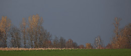 WIE GEMALT / Aufgenommen in Olfen im Münsterland. DAS LICHT und DAS PANORAMA, das war die IDEE. Am PC gezaubert zum " WIE GEMALT "
