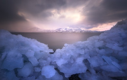 Letzte Ice / ...
