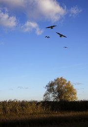 HAVELLAND / NATUR PUR im Havelland. Das HOCHFORMAT war hier für mich die RICHTIGE WAHL.