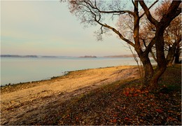 Herbst-Strand / ***