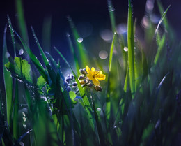 Erwachen / ***