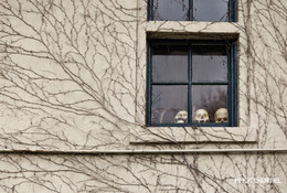 schlechtes Yorick / ***