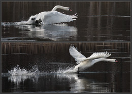 Takeoff / ***