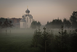 Im Nebel .... / ***