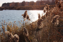 Am Fluss / ***