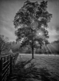 Gegen das Licht / ***