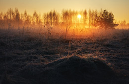 Gegen das Licht / ***