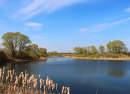 Der Hauch von Frühling / ***
