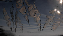 Land-art / Master Class Nikolai Dmitruk
Lomonosovo 2016
