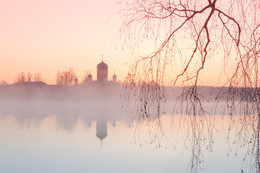 Rosa Nebel / ***