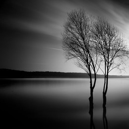 Pacific Dawn / ***